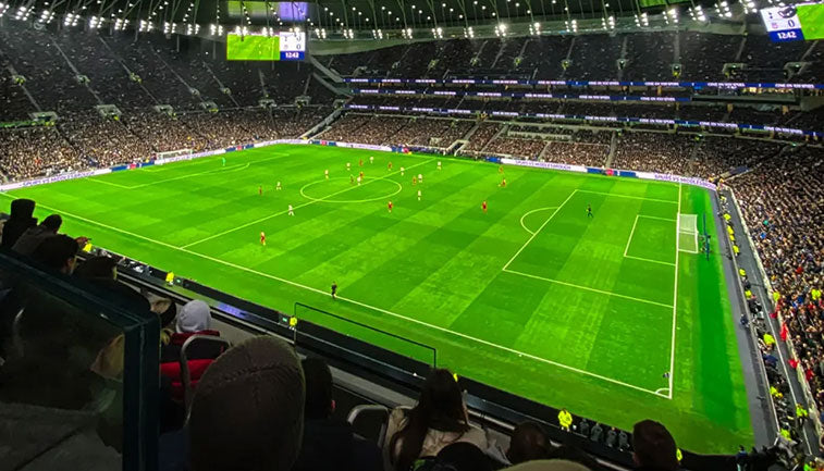 Fan Terrace – Back